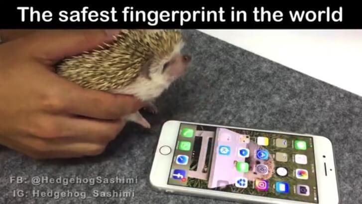 The safest fingerprint in the world 3